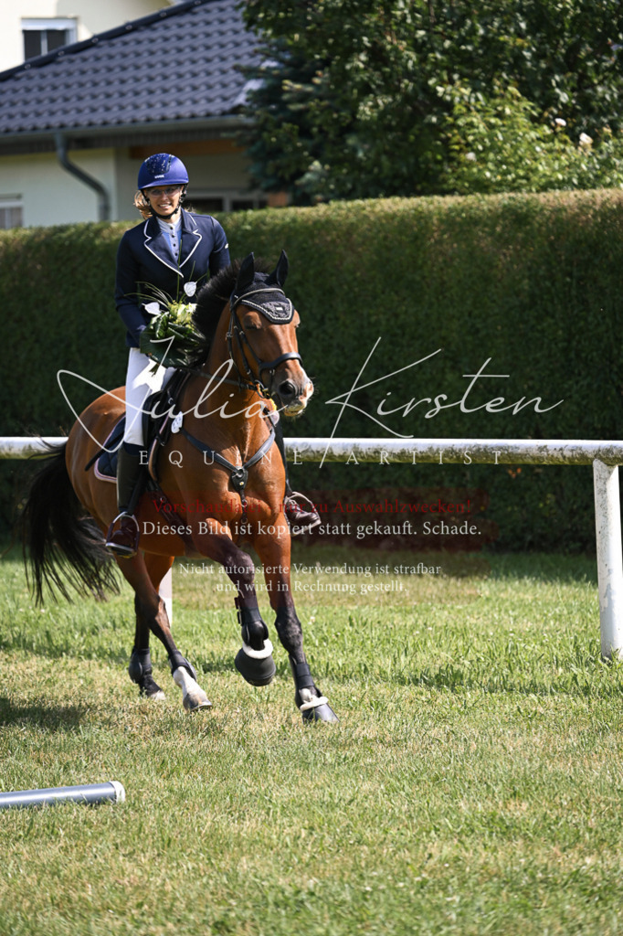 DSC_0717 | Pferde- und Turnierfotografie in Westsachsen. Pferdeportraits, Auftragszeichnungen und intuitive Kunst.