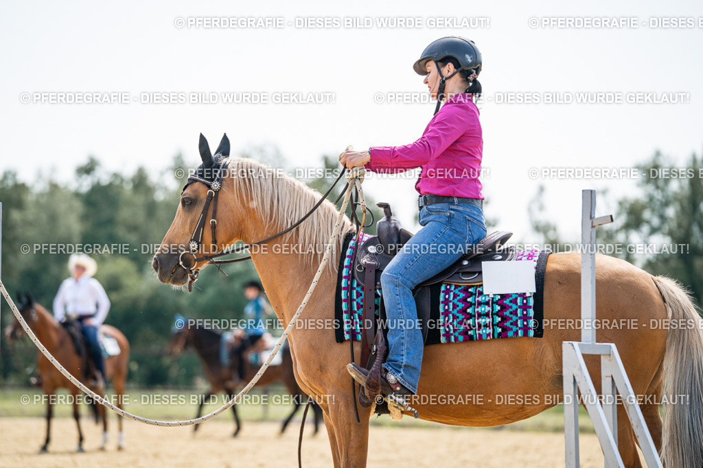 DSC00356 | Pferdegrafie