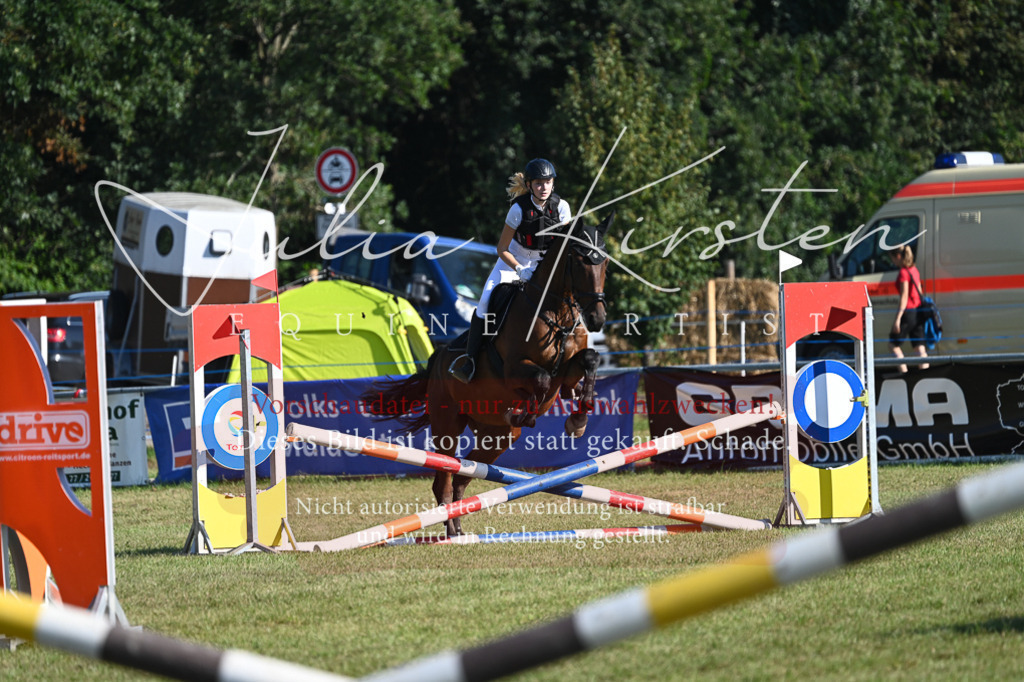 DSC_5147 | Pferde- und Turnierfotografie in Westsachsen. Pferdeportraits, Auftragszeichnungen und intuitive Kunst.