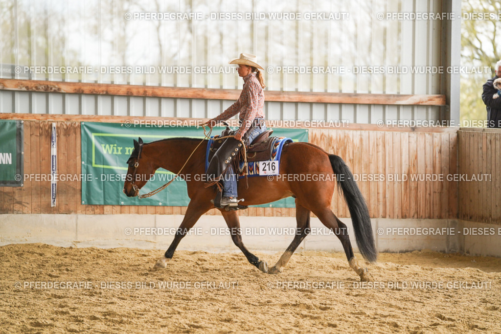 DSC08176 | Pferdegrafie