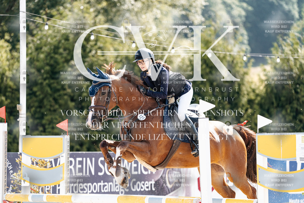 CK908062 | Turnierfotografie Pferdefotografie Trier Rheinland-Pfalz Pferdesport Reitsport Tierfotografie Sportfotografie Pferdevideo Pferdevideografie Equestrianvideography equestrianphotography  - Realisiert mit Pictrs.com