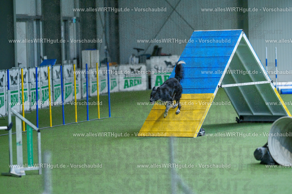 @allesWIRTHgut_Tierfotografie - www.allesWIRTHgut.de - 2604261520-7R505241 | Professionelle Tierfotografie in Mönchengladbach von Daniel Wirth (allesWIRTHgut). Liebevolle & natürliche Bilder von Hunden & Katzen für unvergessliche Erinnerungen.