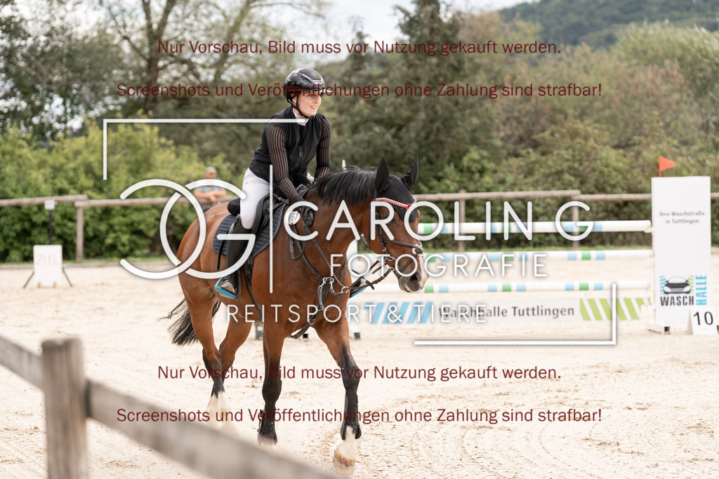 DSC06439 | Springturnier_Teamchallege_Talheim_2026, Lara-Sophie_Strohm, Champ_Charming