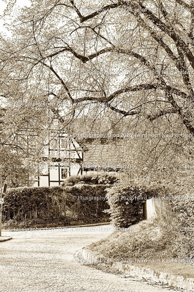 Oberkaufungen | Impressionen aus Oberkaufungen - Realisiert mit Pictrs.com