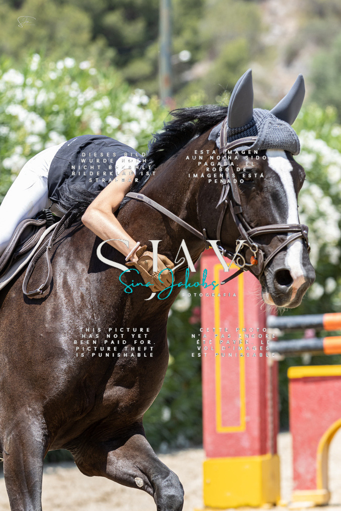 IMG_7138 | s-jay-photography - Realisiert mit Pictrs.com