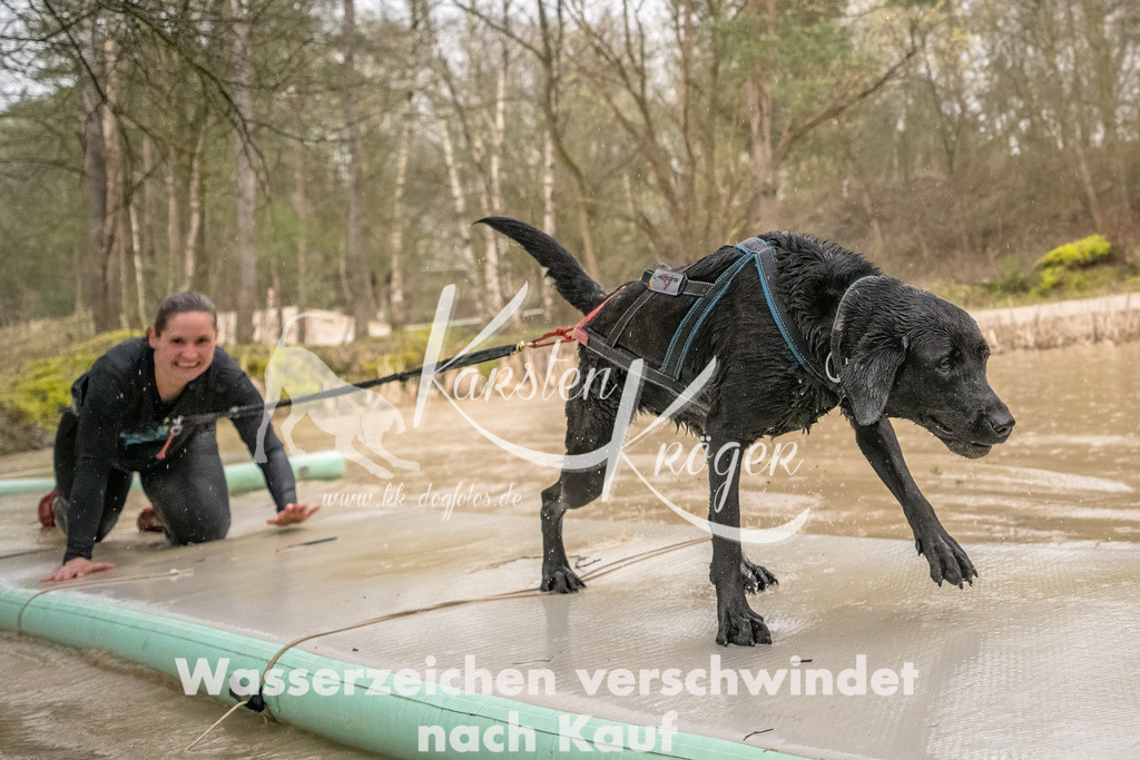 1057_ZZ93878-Bearbeitet | kk-dogfotos
