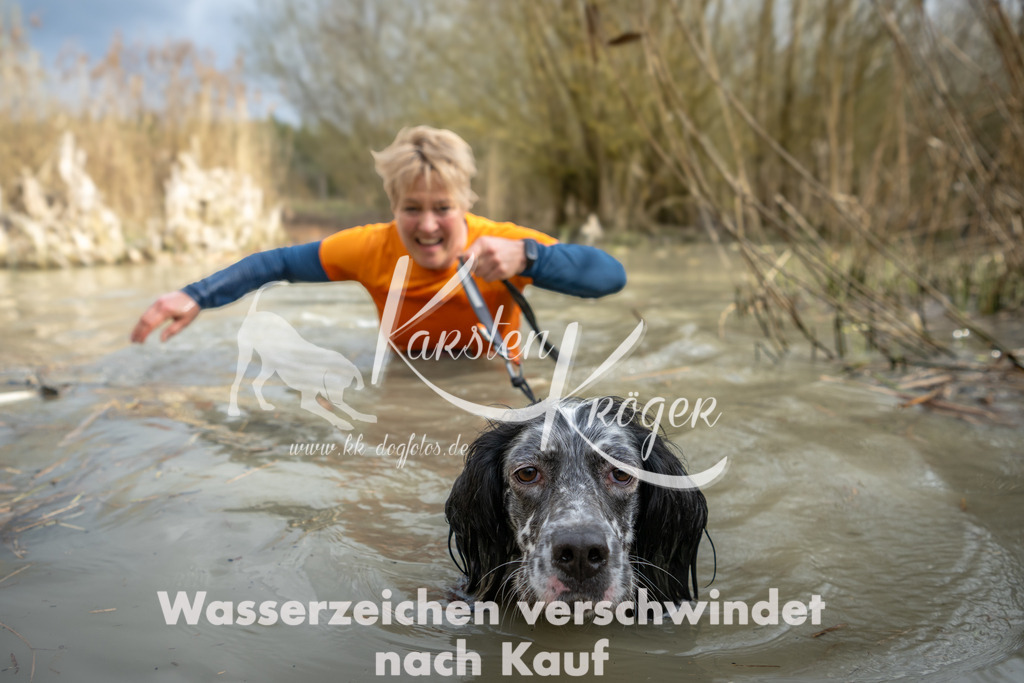 1554_ZZ94506 | kk-dogfotos