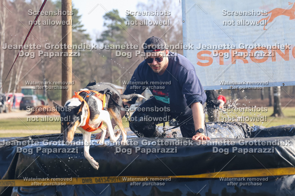 Dog Paparazzi - Strongdog North Mrz26-910 | Dog Paparazzi Jeanette Grottendiek Fotografie & Videografie - Realisiert mit Pictrs.com