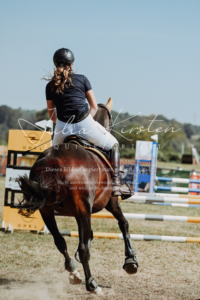 DSC_9651 | Pferde- und Turnierfotografie in Westsachsen. Pferdeportraits, Auftragszeichnungen und intuitive Kunst.