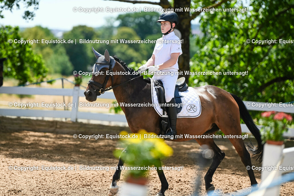 20230715_09_Dressur-WB_0390 | equistock