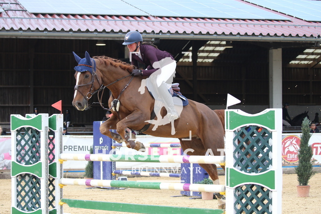 DL2Q2031 | Willkommen bei Brunnmayr - Design & Fotografie – Ihrem Spezialisten für Reitturniere und Pferdeveranstaltungen in Oberösterreich, Salzburg und Bayern! Seit über 17 Jahren sind wir leidenschaftlich dabei.
