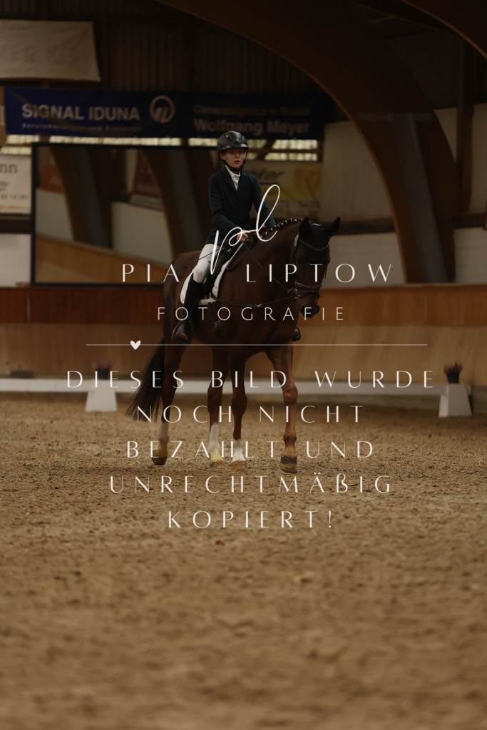 IMGM8383 | pl-fotografie