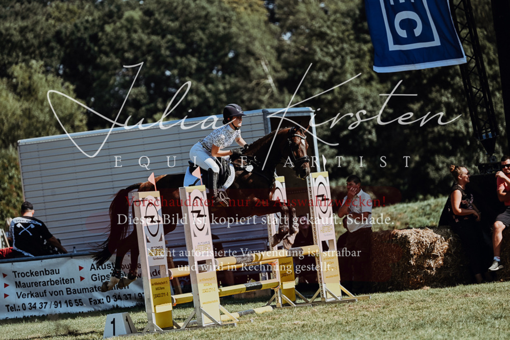 DSC_6750 | Pferde- und Turnierfotografie in Westsachsen. Pferdeportraits, Auftragszeichnungen und intuitive Kunst.