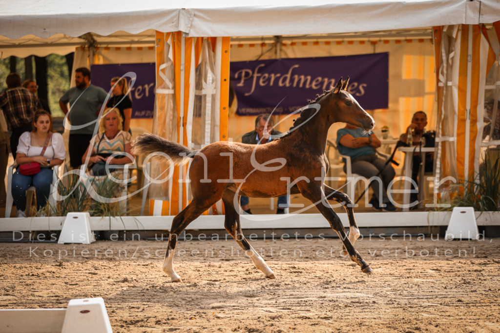 10.DoRP00101 | Leoni Ertmer Photography - Realisiert mit Pictrs.com