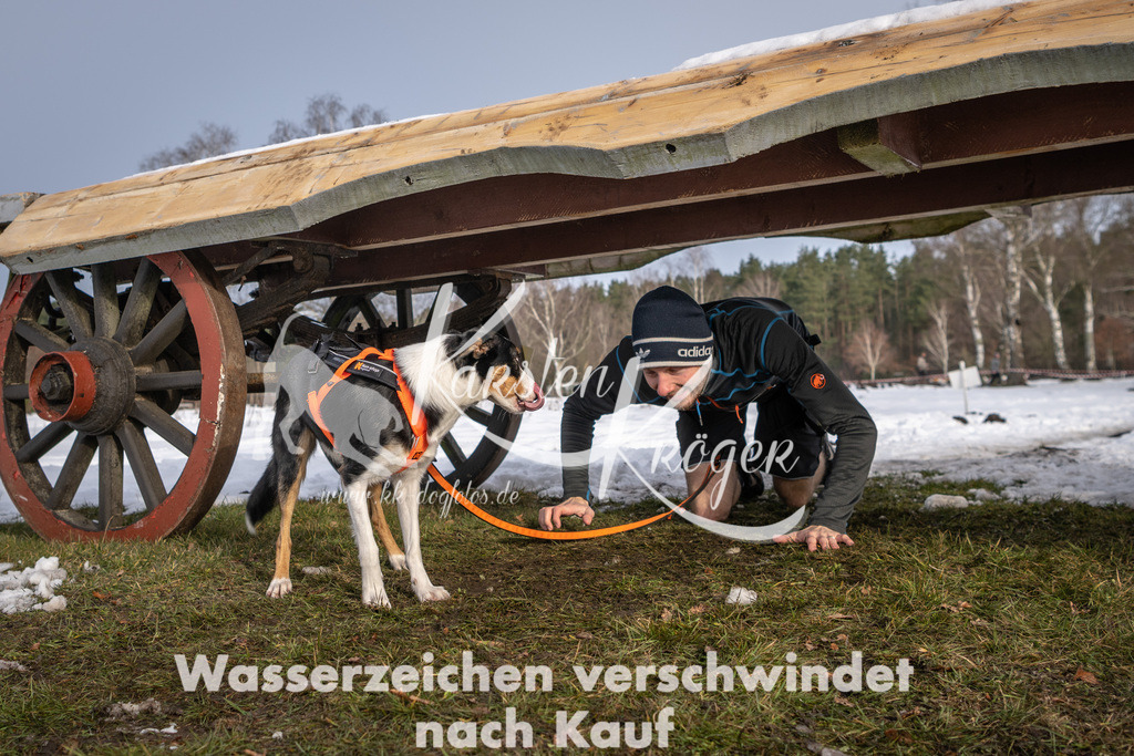 0857_ZZ93172-3 | kk-dogfotos