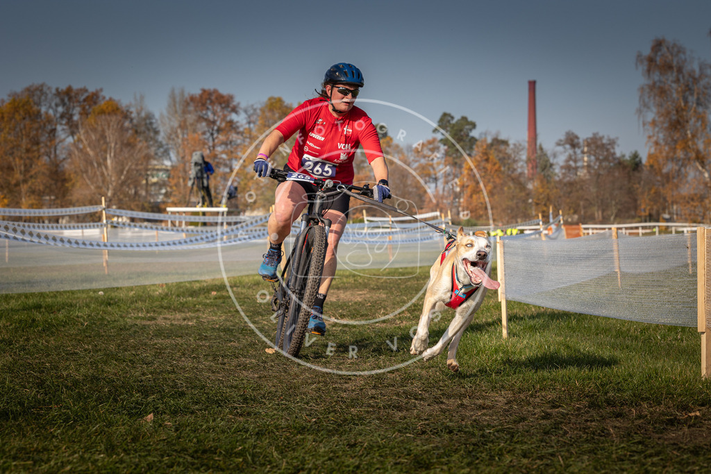 CaniXpix_0L8A7807 | Hundefotografie, Tierfotograf, Pfotenfotografie, Fotoshooting Hund, Hunde Portrait, Hundesport, Hundeportraits, Heideshooting, Hunde, Sportfotograf, Hundefotograf, Turnierhundsport, THS,  - Realisiert mit Pictrs.com