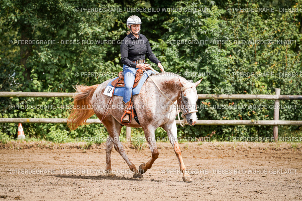 DSC07314 | Pferdegrafie