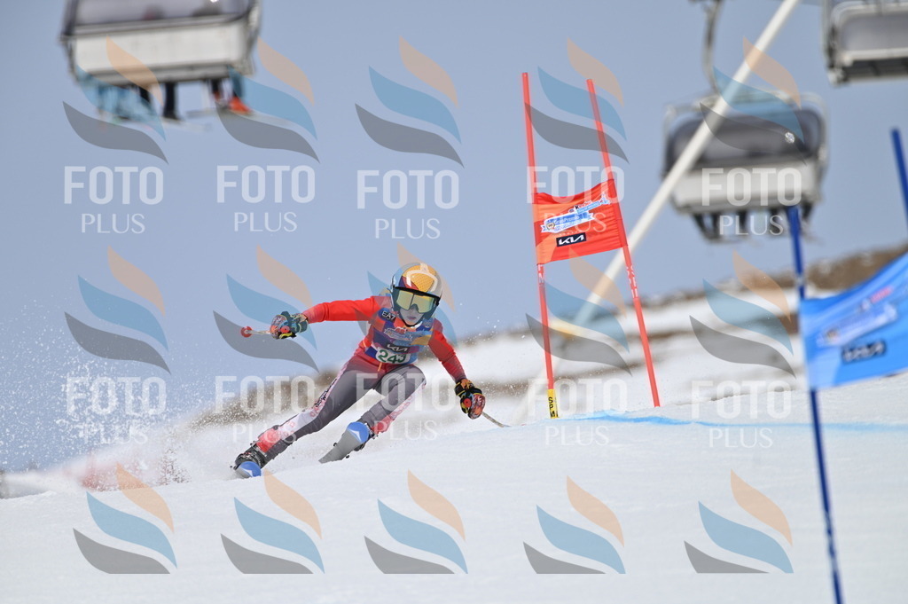 BGV_4804 | holidayphoto