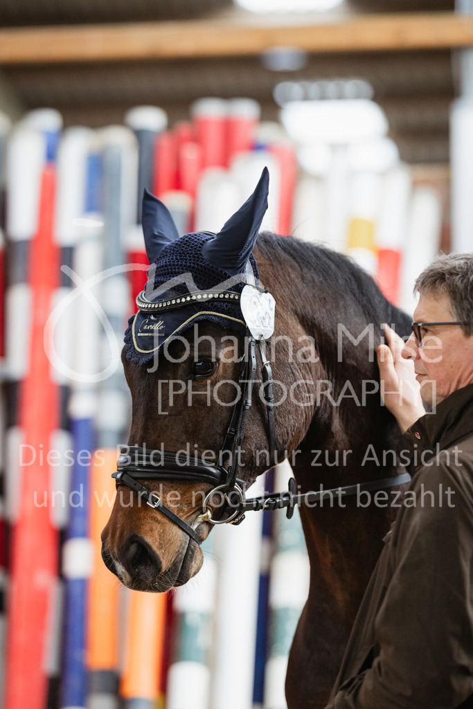 240316_Borgholzhausen_A-Spr-515 | Deine schönsten Turniermomente als professionelle Fotos! Entdecke hochwertige Pferdesport-Fotografie im Online-Shop. Jetzt Fotos finden & bestellen!