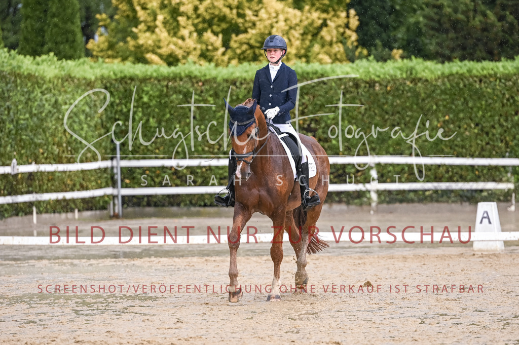 Schugtsche-Aluta25-55.Dressurreiterprf.L1Tr-358 | Schugtsche Fotografie - Realizzato con Pictrs.com