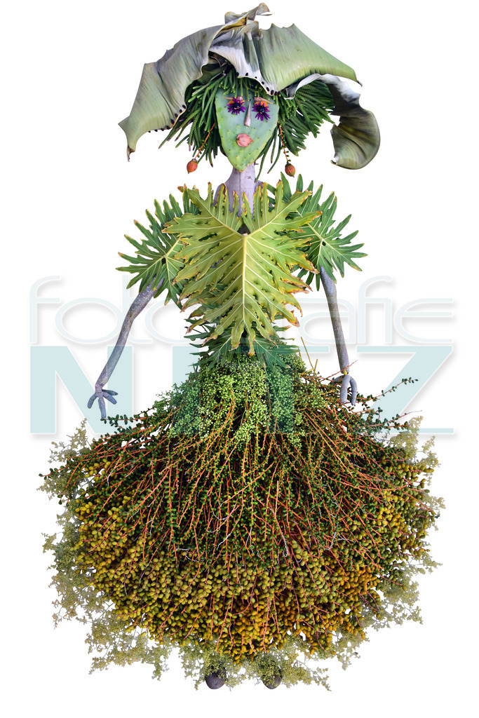 15 | Nitz Fotografie aus Montabaur bietet Ihnen hier die Möglichkeit Bilder auszusuchen und zu bestellen. 