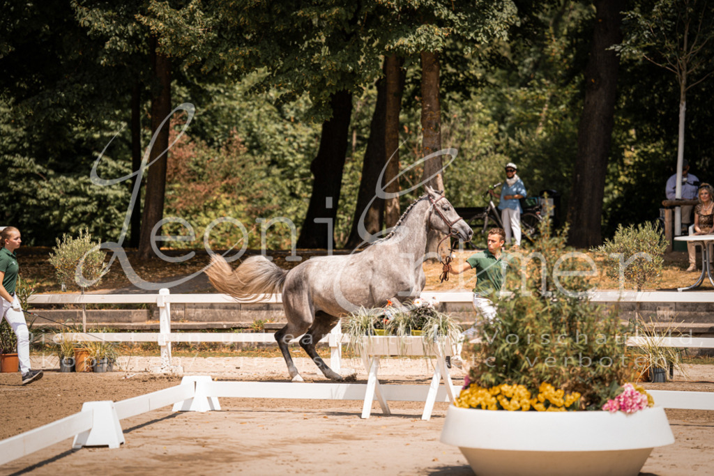 1.Fr00005 | Leoni Ertmer Photography - Realisiert mit Pictrs.com