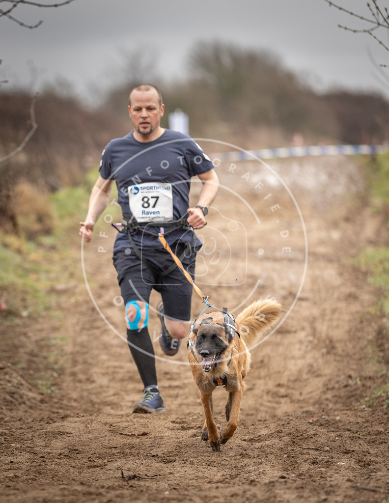 DV3A9917 | Hundefotografie, Tierfotograf, Pfotenfotografie, Fotoshooting Hund, Hunde Portrait, Hundesport, Hundeportraits, Heideshooting, Hunde, Sportfotograf, Hundefotograf, Turnierhundsport, THS,  - Realisiert mit Pictrs.com