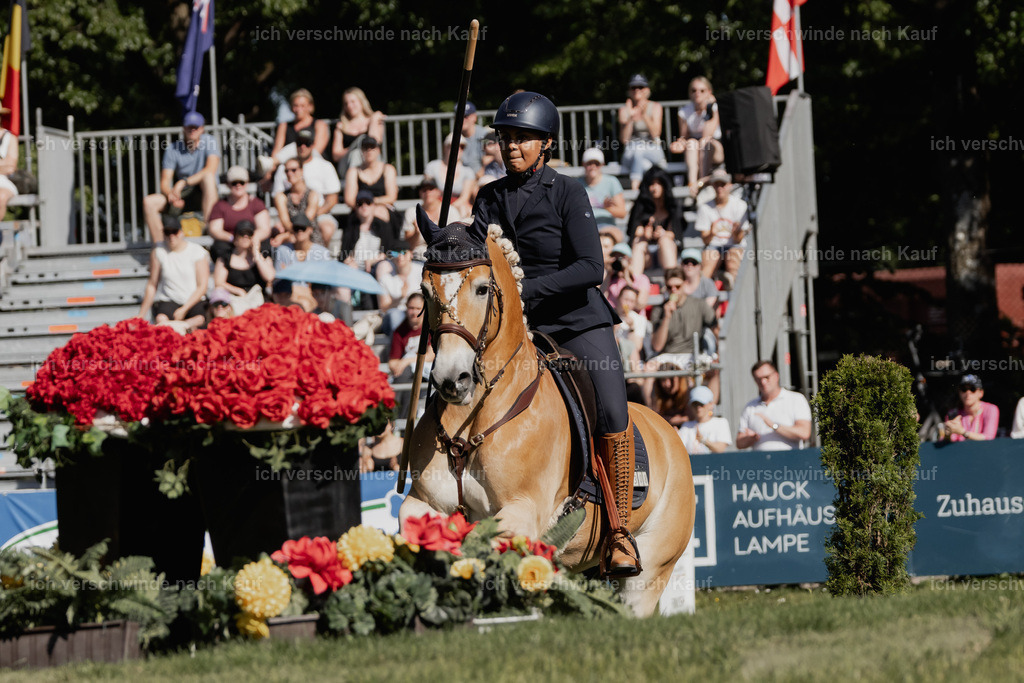_AM10647 | Pferd International München 2025