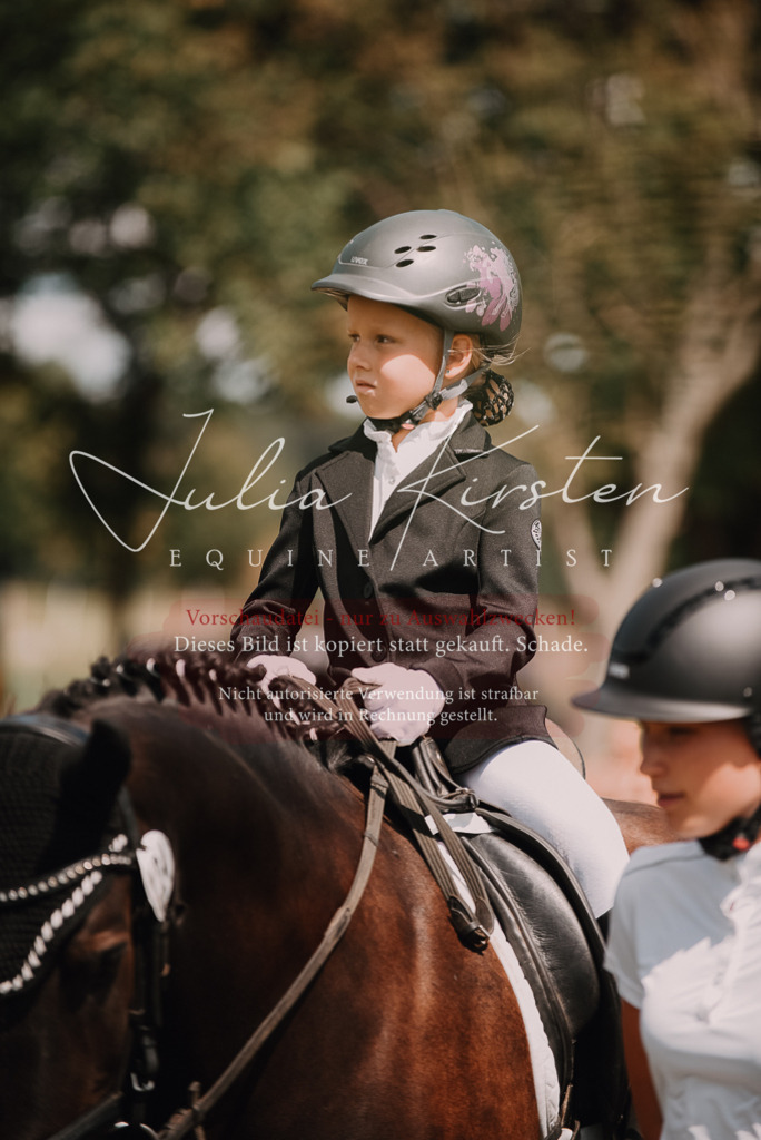DSC_6120 | Pferde- und Turnierfotografie in Westsachsen. Pferdeportraits, Auftragszeichnungen und intuitive Kunst.