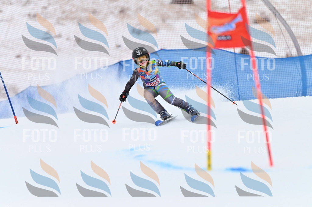 BGV_3211 | holidayphoto