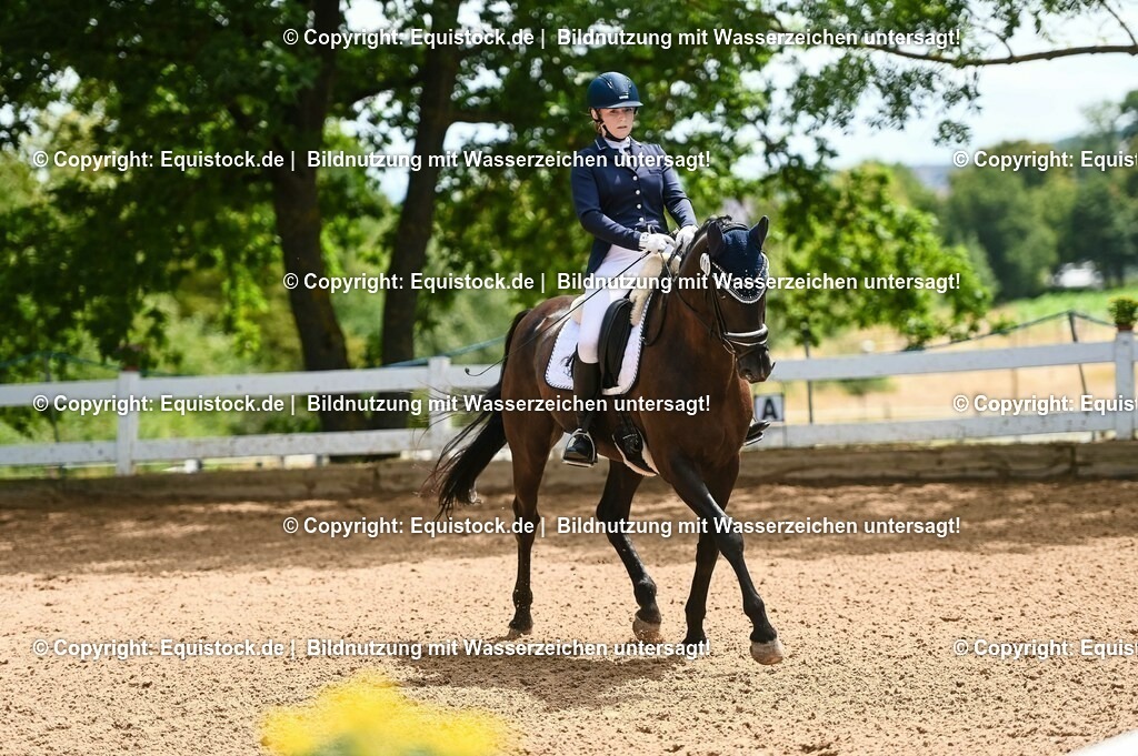 20230716_03_Dressurprfg. Kl.L - Tr._0598 | equistock
