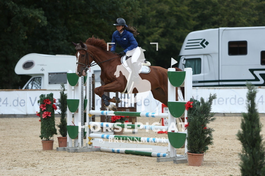 DL2Q1255 | Willkommen bei Brunnmayr - Design & Fotografie – Ihrem Spezialisten für Reitturniere und Pferdeveranstaltungen in Oberösterreich, Salzburg und Bayern! Seit über 17 Jahren sind wir leidenschaftlich dabei.