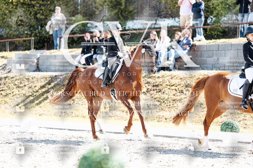 CK903108 | Turnierfotografie Pferdefotografie Trier Rheinland-Pfalz Pferdesport Reitsport Tierfotografie Sportfotografie Pferdevideo Pferdevideografie Equestrianvideography equestrianphotography  - Realisiert mit Pictrs.com