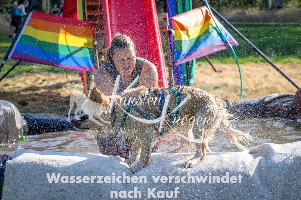 1641_ZZ90869 | kk-dogfotos