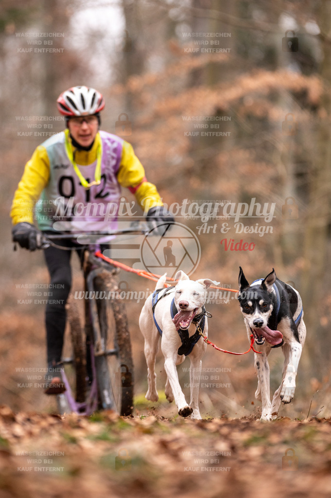 AKM_ST_2023_SAM_DS2-8 | PayLife