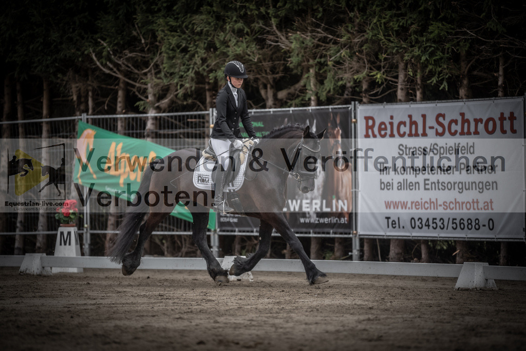 DSC_9238 | equestrian-live-com