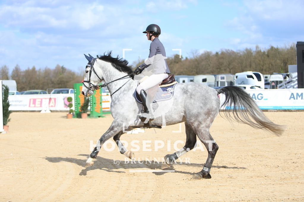 DL2Q0672 | Willkommen bei Brunnmayr - Design & Fotografie – Ihrem Spezialisten für Reitturniere und Pferdeveranstaltungen in Oberösterreich, Salzburg und Bayern! Seit über 17 Jahren sind wir leidenschaftlich dabei.