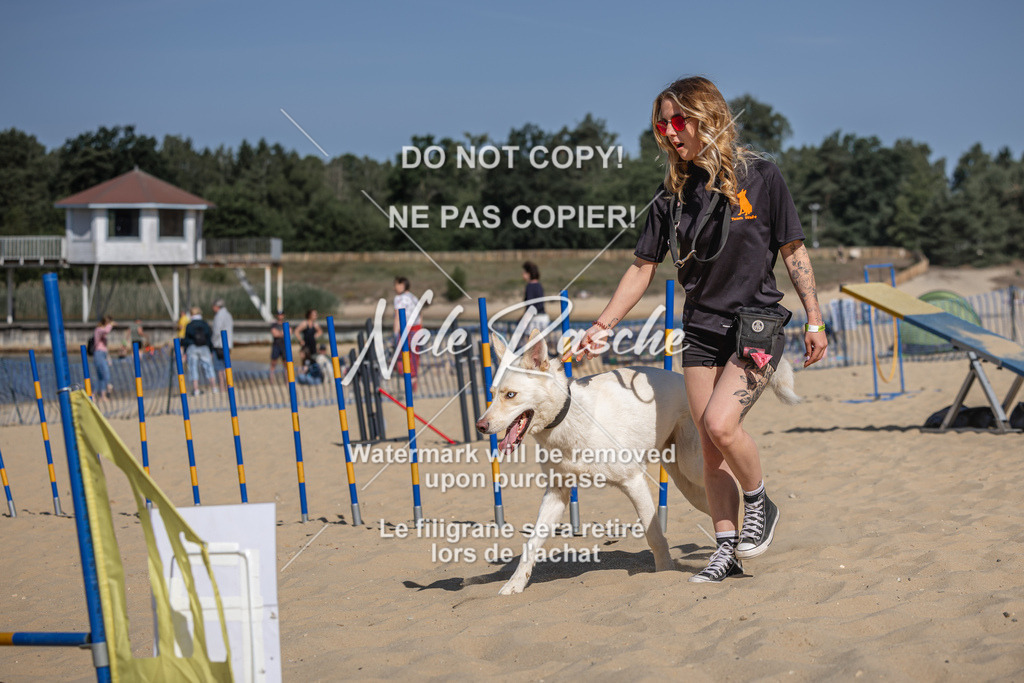 nelerasche_saBeachility_156 | nelerasche
