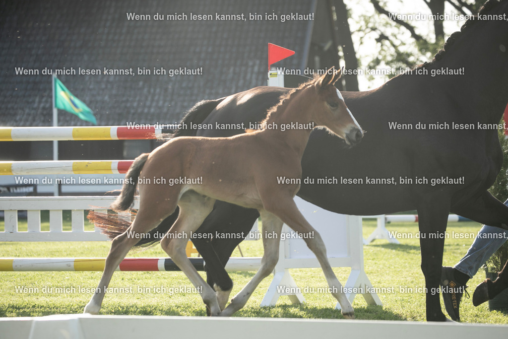 598A7373 | photographylinaismer - Realisiert mit Pictrs.com