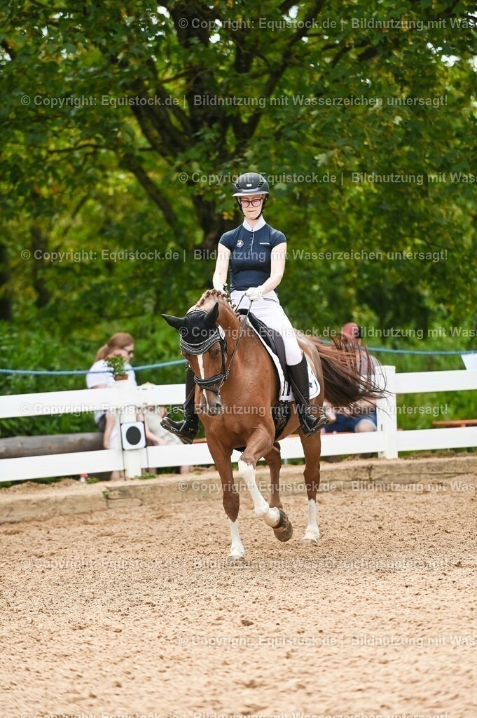 20230715_07_Dressurpferdeprfg. Kl.L_0080 | equistock