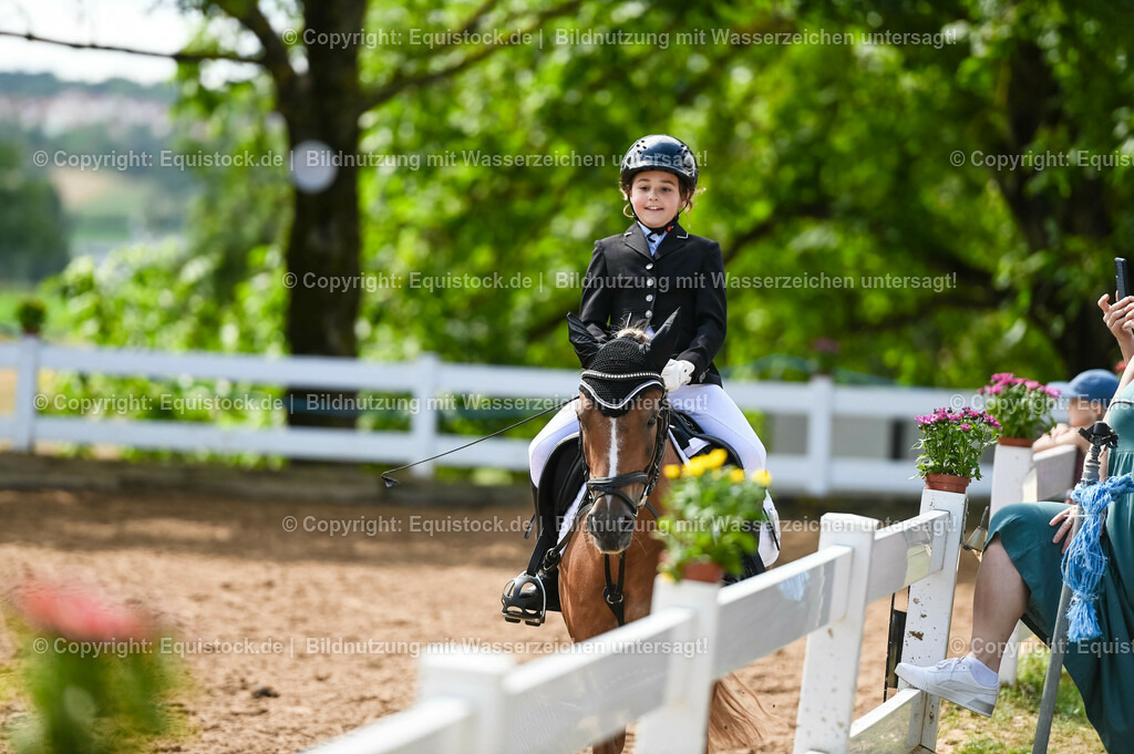 20230716_10-3_Reiter-WB Schritt - Trab - Galopp_0039 | equistock
