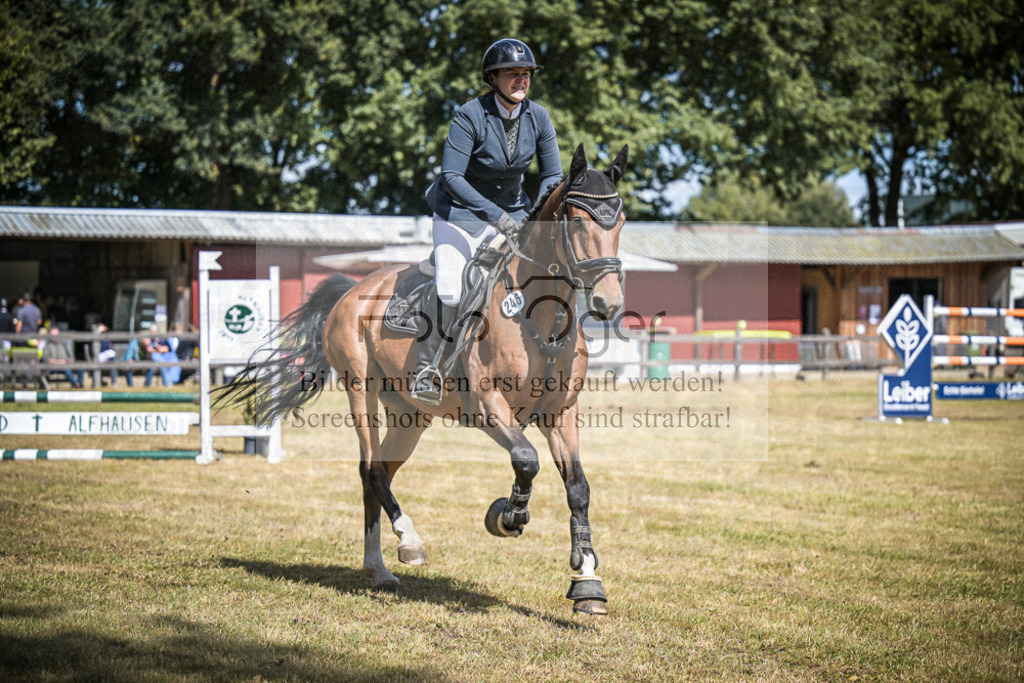 DOS_0398 | Entdecke hochwertige Reitturnierfotos von Foto Oger. Professionell, emotional und authentisch – jetzt Lieblingsmomente im Shop bestellen.Deutschlandweite Turnierfotografie. - Realisiert mit Pictrs.com