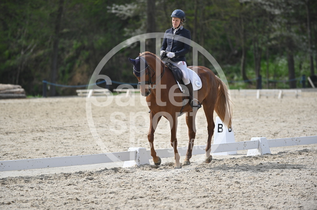 DSC_4530 | sattelsport - Realisiert mit Pictrs.com