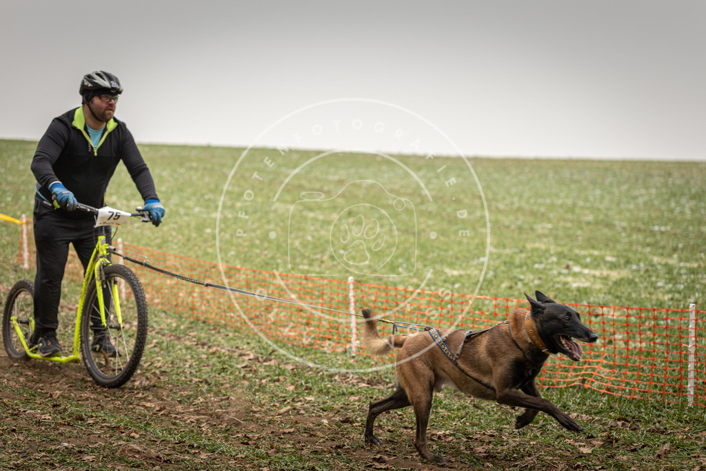 Pfotenfotografie_DV3A3909 | Hundefotografie, Tierfotograf, Pfotenfotografie, Fotoshooting Hund, Hunde Portrait, Hundesport, Hundeportraits, Heideshooting, Hunde, Sportfotograf, Hundefotograf, Turnierhundsport, THS,  - Realisiert mit Pictrs.com