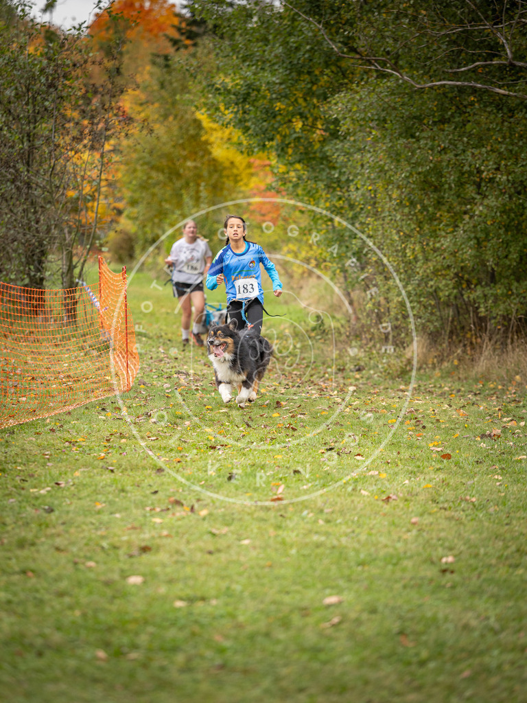 Pfotenfotografie_DV3A3651 | Hundefotografie, Tierfotograf, Pfotenfotografie, Fotoshooting Hund, Hunde Portrait, Hundesport, Hundeportraits, Heideshooting, Hunde, Sportfotograf, Hundefotograf, Turnierhundsport, THS,  - Realisiert mit Pictrs.com