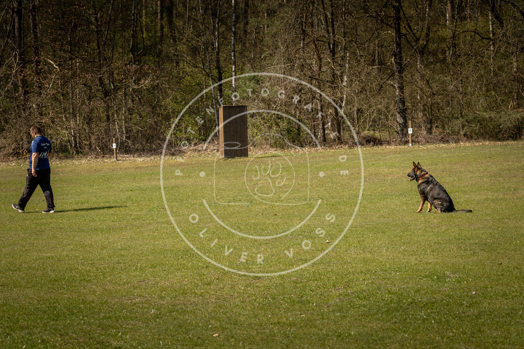 Pfotenfotografie_DV3A0837 | Hundefotografie, Tierfotograf, Pfotenfotografie, Fotoshooting Hund, Hunde Portrait, Hundesport, Hundeportraits, Heideshooting, Hunde, Sportfotograf, Hundefotograf, Turnierhundsport, THS,  - Realisiert mit Pictrs.com
