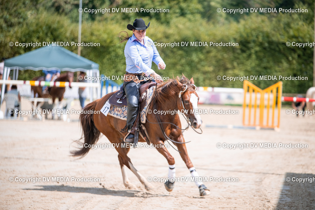 ZS3_5253 | dv-media-shop - Realisiert mit Pictrs.com