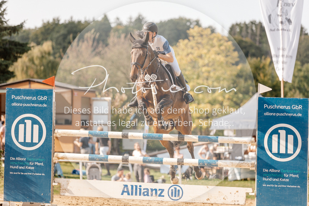 3I6A5126 | Stimmungsvolle Portraits und Reitsportfotografie im Ruhrgebiet und im Münsterland.

Pferdefotografie, Hundefotografie, Tierfotografie, Reportagen, Portraits von Tier und Mensch, Turnierfotografie in Bochum, Recklinghausen, Marl, Haltern am See, Dülmen.. - Realisiert mit Pictrs.com