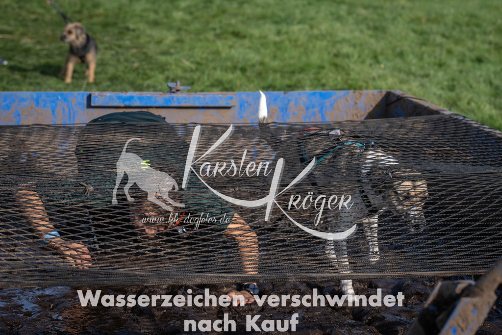 1644_ZZ93038 | kk-dogfotos