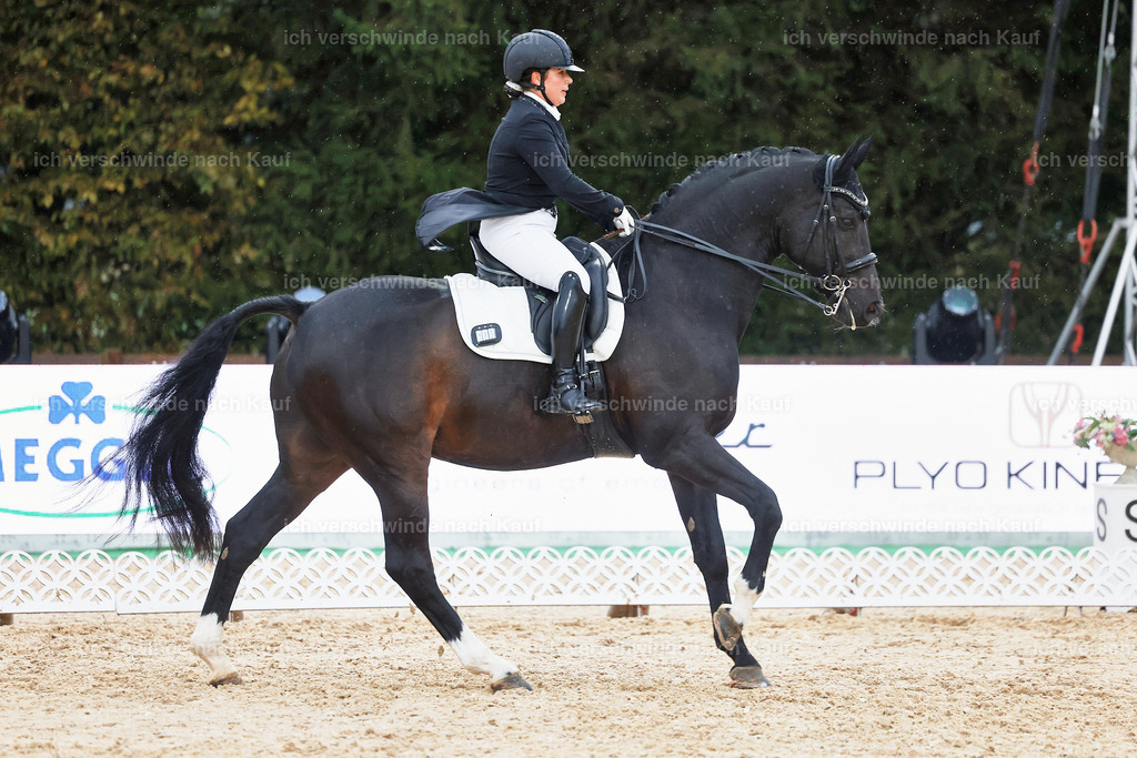 8_2-183-DRESSUR S_  -StoibPH-4557 | working equitationturnier fotograf videograf stoibphotography marixx film working equitation deutschland reitsport turnierfotografie eventfotografie equestrian events